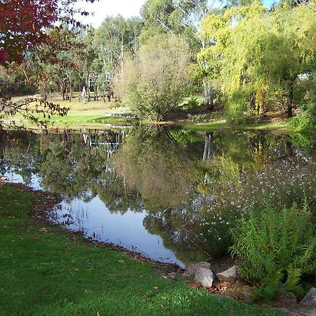 Granite Gardens Cottages & Lake Retreat Stanthorpe Exteriér fotografie