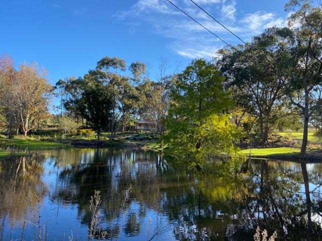 Granite Gardens Cottages & Lake Retreat Stanthorpe Exteriér fotografie