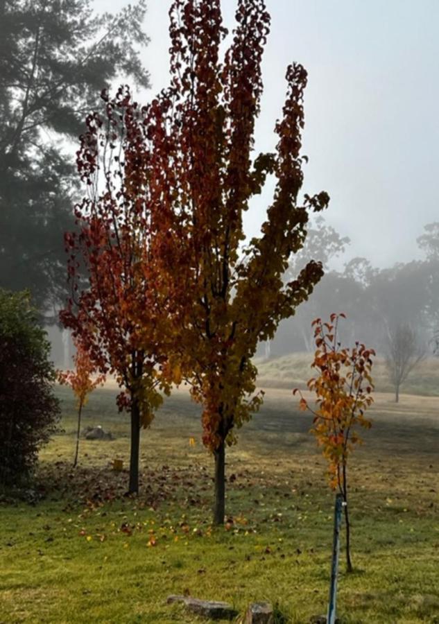 Granite Gardens Cottages & Lake Retreat Stanthorpe Exteriér fotografie