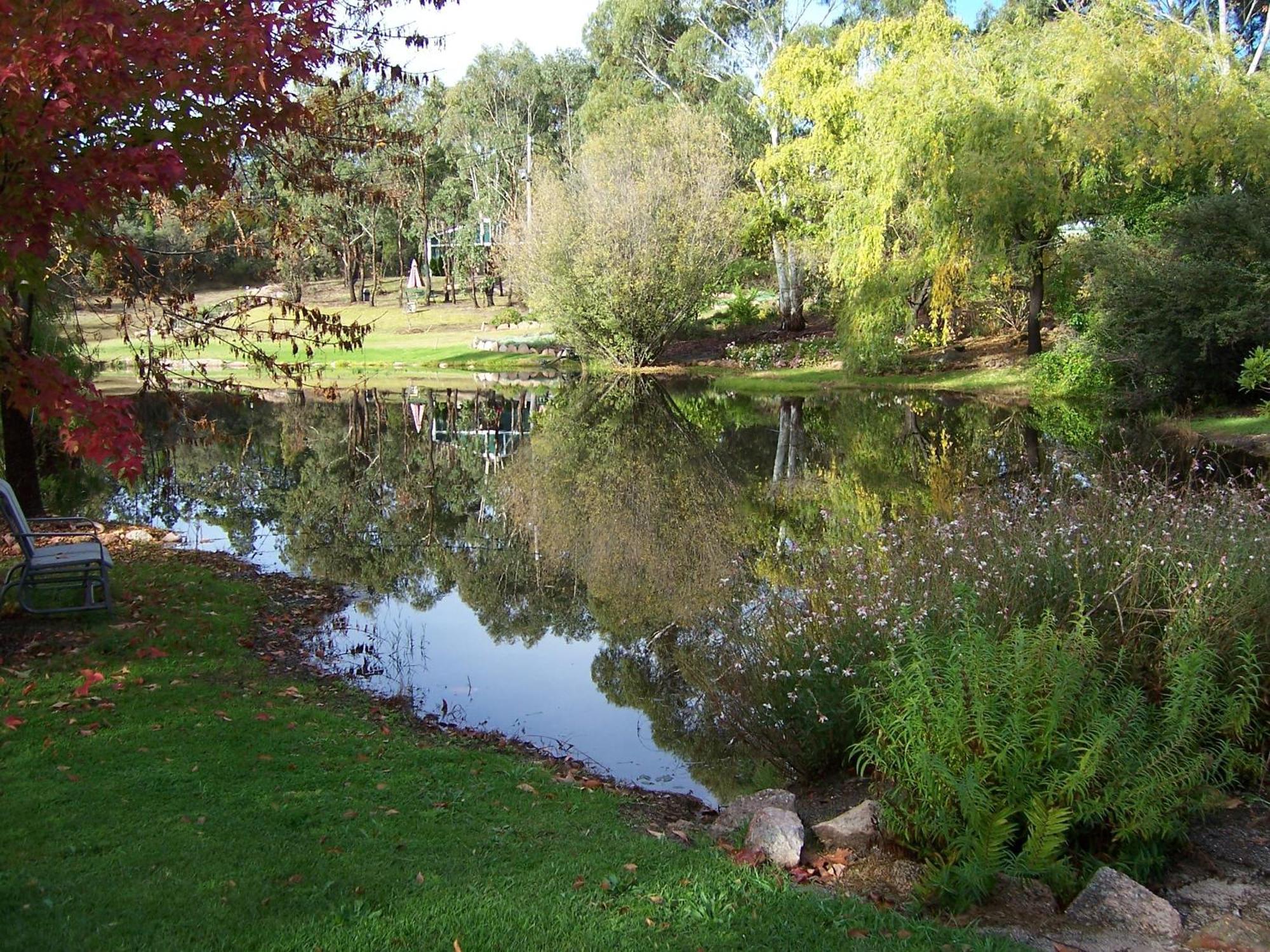 Granite Gardens Cottages & Lake Retreat Stanthorpe Exteriér fotografie