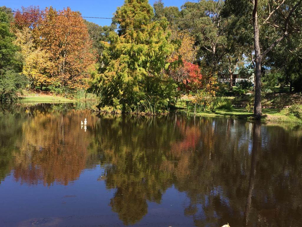 Granite Gardens Cottages & Lake Retreat Stanthorpe Exteriér fotografie