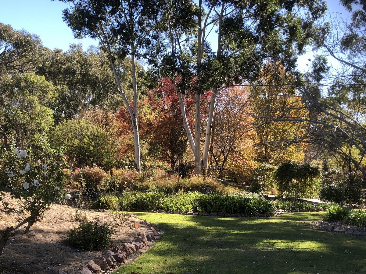 Granite Gardens Cottages & Lake Retreat Stanthorpe Exteriér fotografie