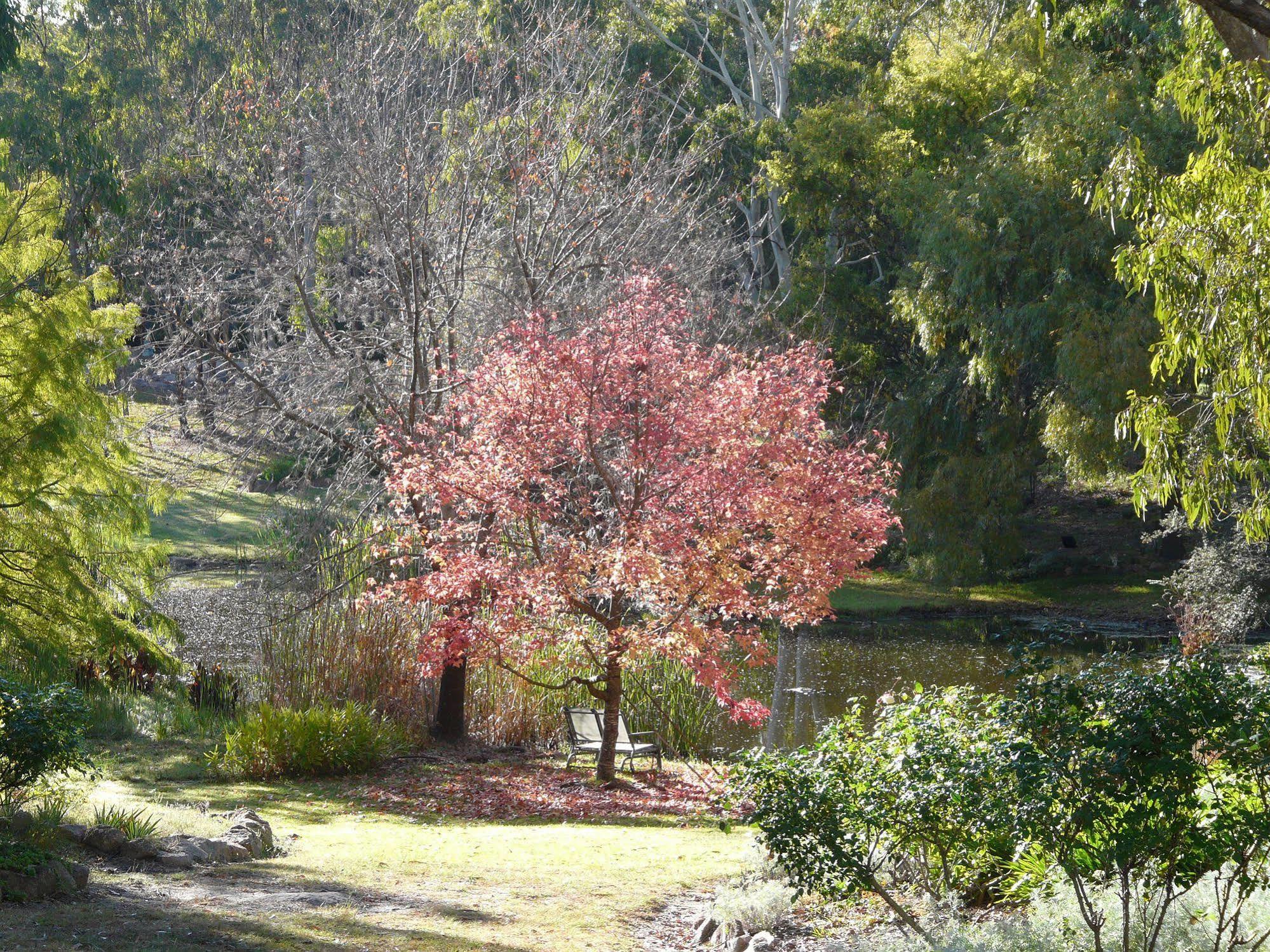 Granite Gardens Cottages & Lake Retreat Stanthorpe Exteriér fotografie